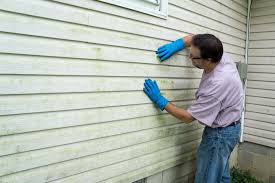 Trusted Minerva Park, OH Siding Experts